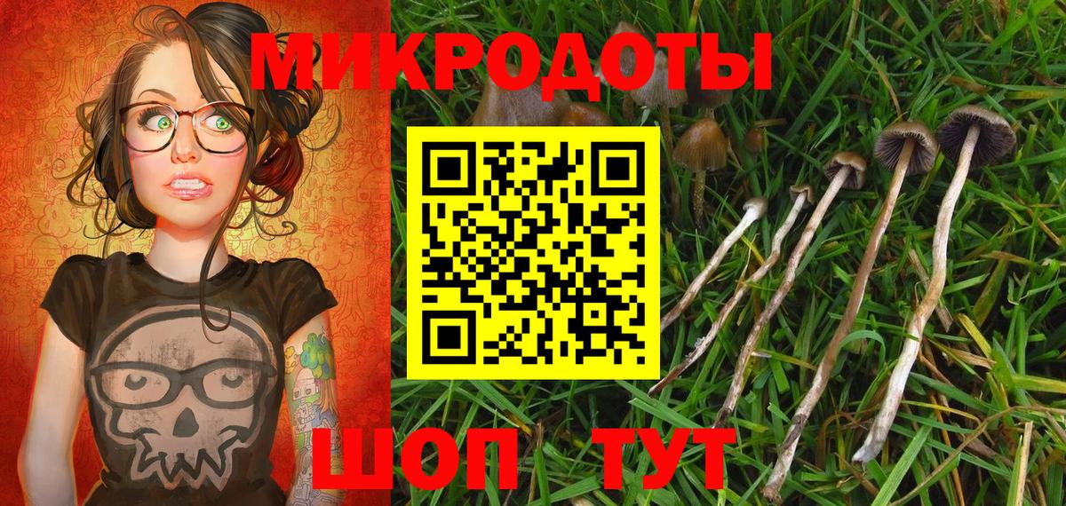 Галлюциногенные грибы Psilocybine cubensis  Вход с VPN  купить наркотики цена  Галлюциногенные грибы GOLDEN TEACHER  Елец 